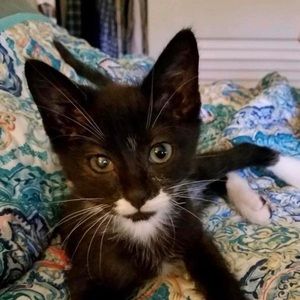 Meet your Posher, Kelly